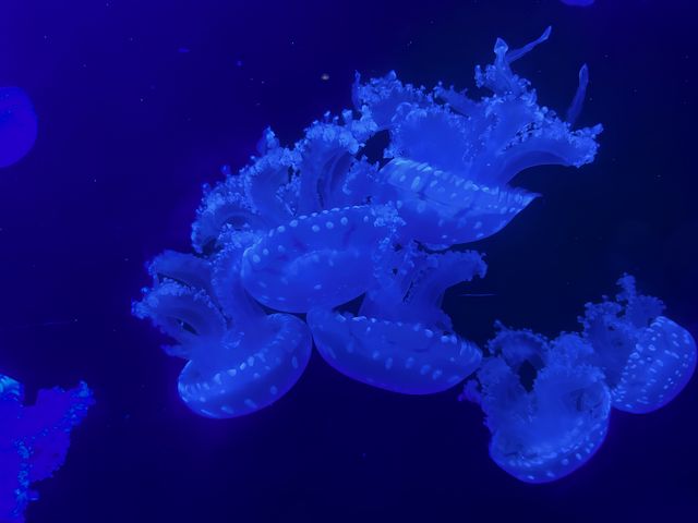 海底兩萬里