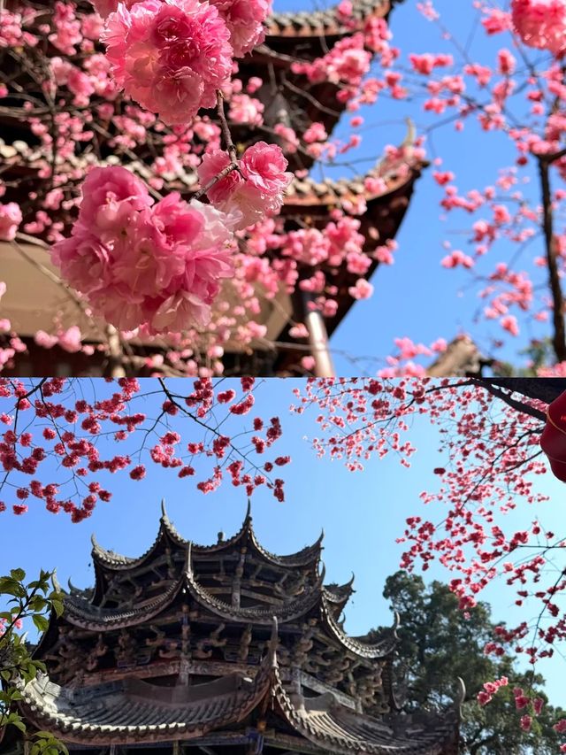 西昌瀘山遊玩真實體驗
