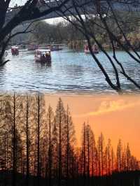 在貴陽，不可錯過的花溪公園，欣賞超讚花海