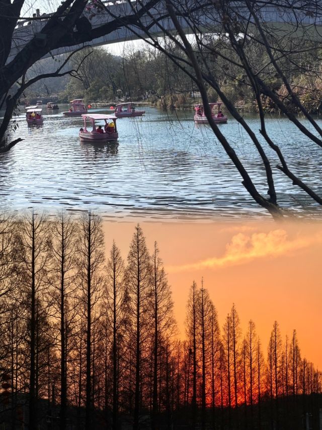 在貴陽，不可錯過的花溪公園，欣賞超讚花海