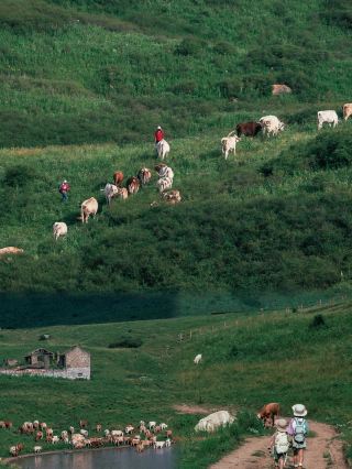 Shanxi Jincheng: Enjoy the off-season in May and June with fewer crowds and beautiful scenery