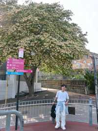🇭🇰此生必去！香港隱世天堂赤柱，去5次都不膩的神仙路線✨