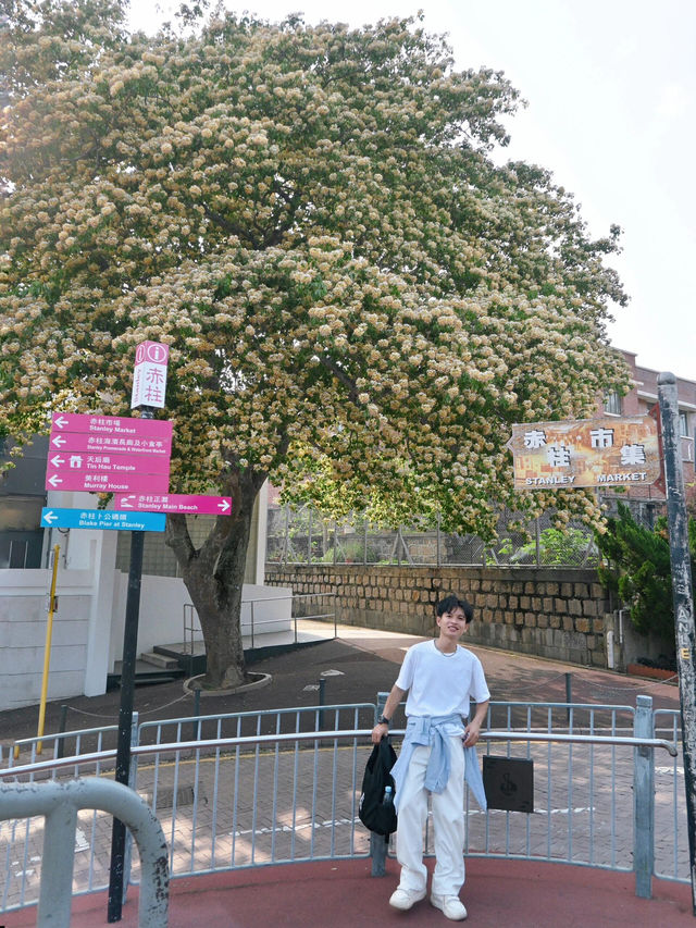 🇭🇰此生必去！香港隱世天堂赤柱，去5次都不膩的神仙路線✨