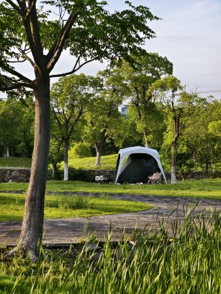 Cixi's superb, uncrowded campground with plenty of trees