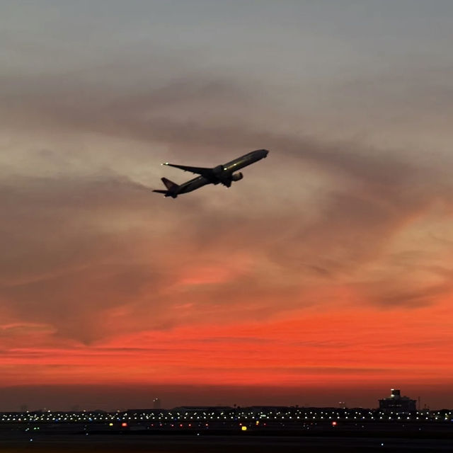 廊曼機場的機場快線上欣賞日落🌇曼谷出行新選擇✈️🚆
