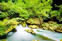 百色古龍山峽谷｜喀斯特奇觀與壯鄉風情之旅