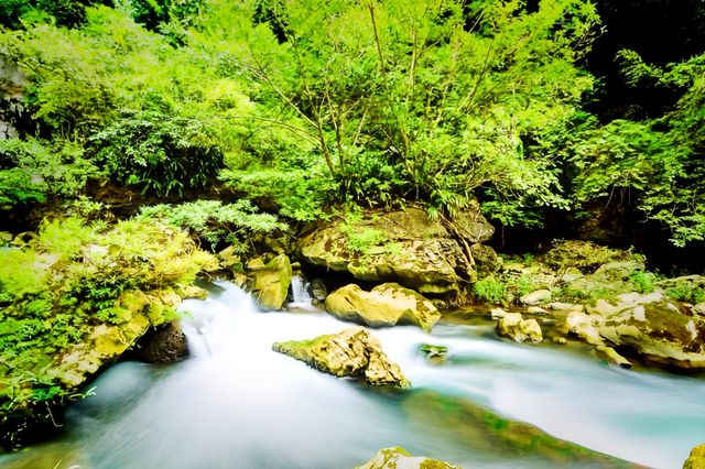 百色古龍山峽谷｜喀斯特奇觀與壯鄉風情之旅