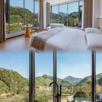 A retreat in Jing County, amidst mountains and rivers, where tea aroma mingles with bamboo's grace.