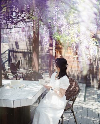 Seoul's Surrounding Wisteria Waterfall Map! Hidden Dreamy Photo Spots