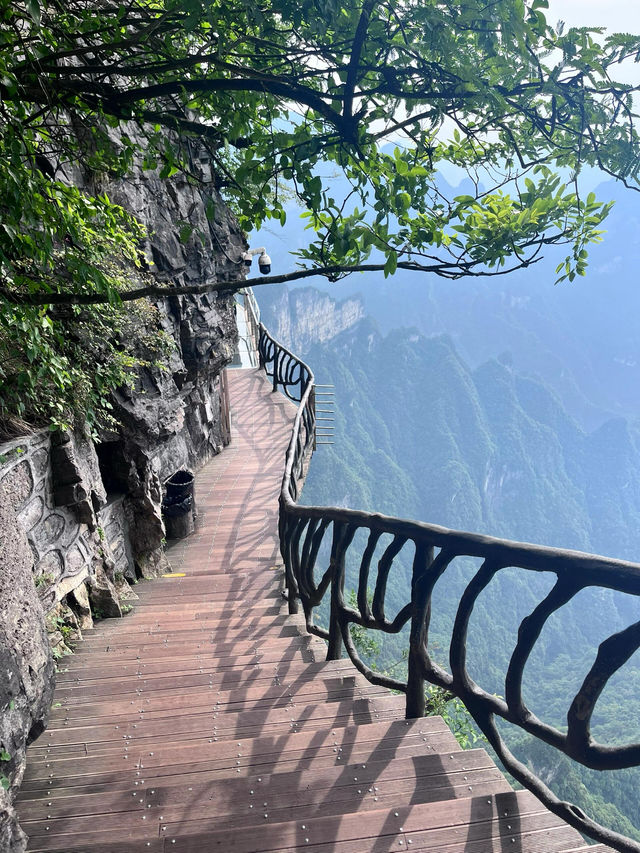 張家界探秘之旅：天門山與森林公園的極致體驗