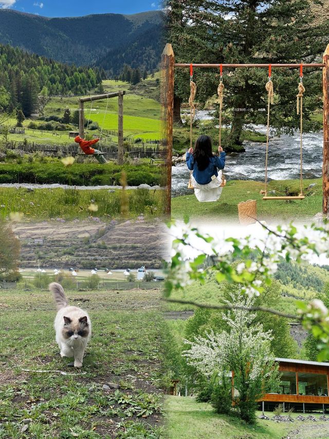 夏天嘅神，非阿根壩莫屬