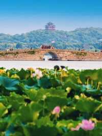 人間天堂—AAAAA西湖名勝風景區