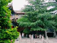 Taiyuan City Pass: A Convenient Travel Companion