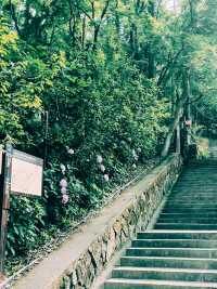 莫干山必住神仙酒店 藏喺民國別墅嘅治癒之旅
