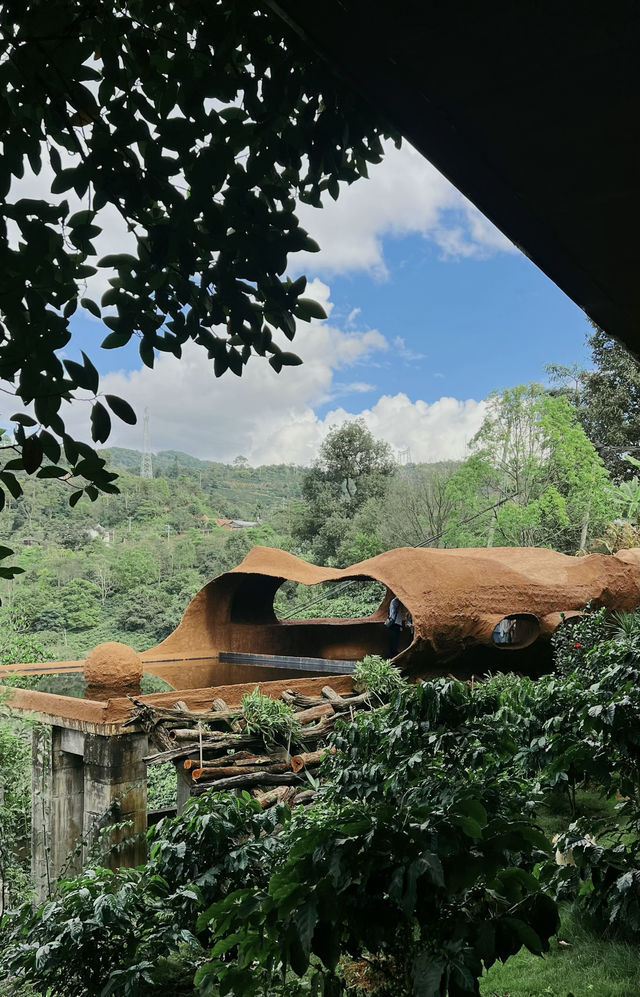 可以吹爆你朋友圈嘅咖啡莊園！