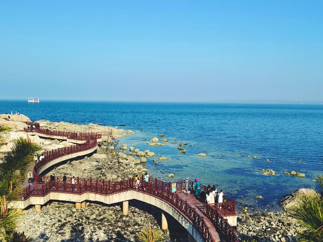 四月，我與養馬島果凍海嘅約會……