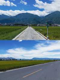 【蒼洱大道