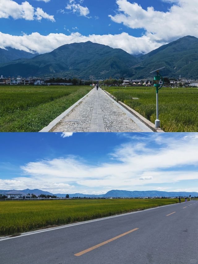 【蒼洱大道