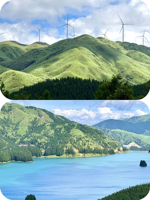 專屬廣西人的阿勒泰