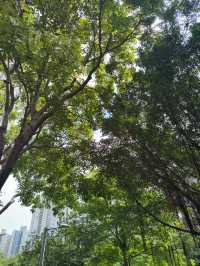將軍澳香港單車館公園｜極限運動與休閒綠洲