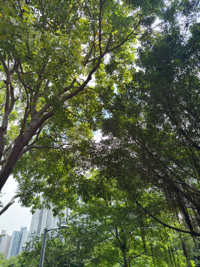 將軍澳香港單車館公園｜極限運動與休閒綠洲