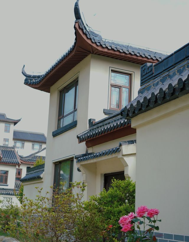 金寨深山現民宿，傳統徽派遇現代客，遊客評價褒貶不一？