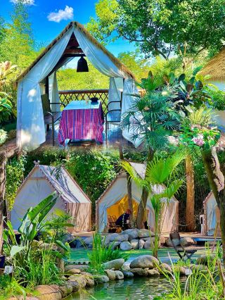 Futian's Accidental Wonderland: A Fairytale Escape Too Beautiful for Words
