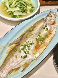 本地人都去的銘廚客家土菜館 💕 翹嘴魚+鹽焗雞雙殺絕了