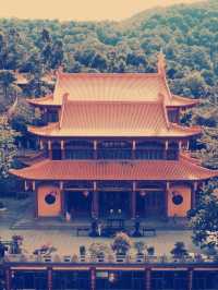 石室禅院（せきしぜんいん）探訪ガイド　静寂の禅寺体験​