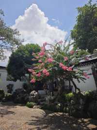 咫尺乾坤，蘇州園林的極致美學丨網師園