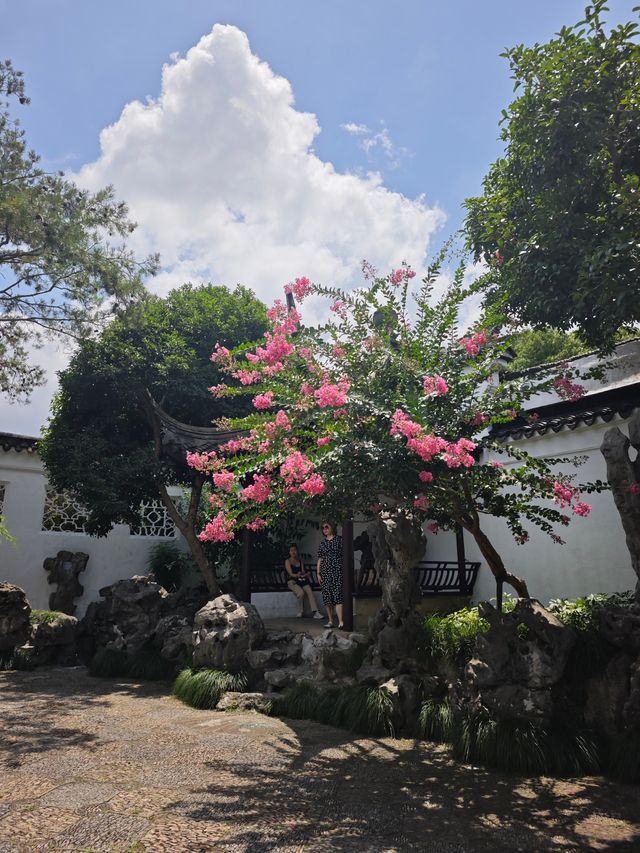 咫尺乾坤，蘇州園林的極致美學丨網師園