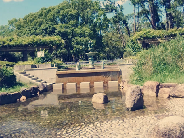 大阪隱世綠洲！長居公園沉浸式體驗全記錄】**  