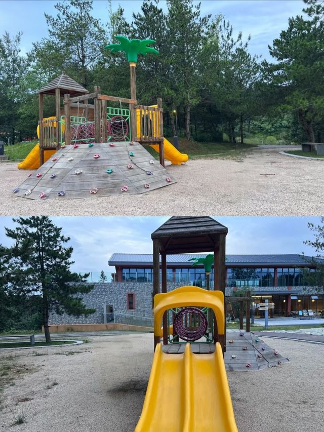 雲端仙山藏秘境——遠安太平頂森林公園漫遊指南