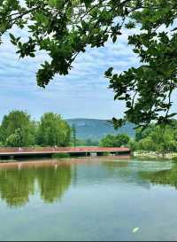 錦城湖公園 | 成都嘅城市綠肺與休閒寶地