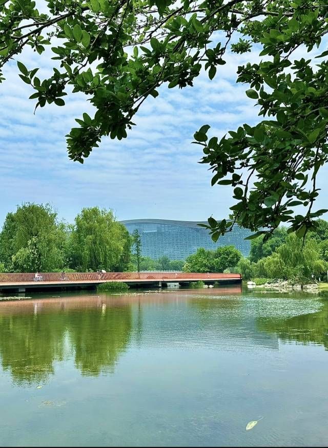 錦城湖公園 | 成都嘅城市綠肺與休閒寶地