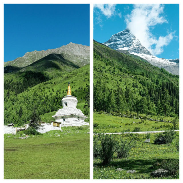 綠意漫進窗棂的盛夏｜星山月影躺看雪山森林