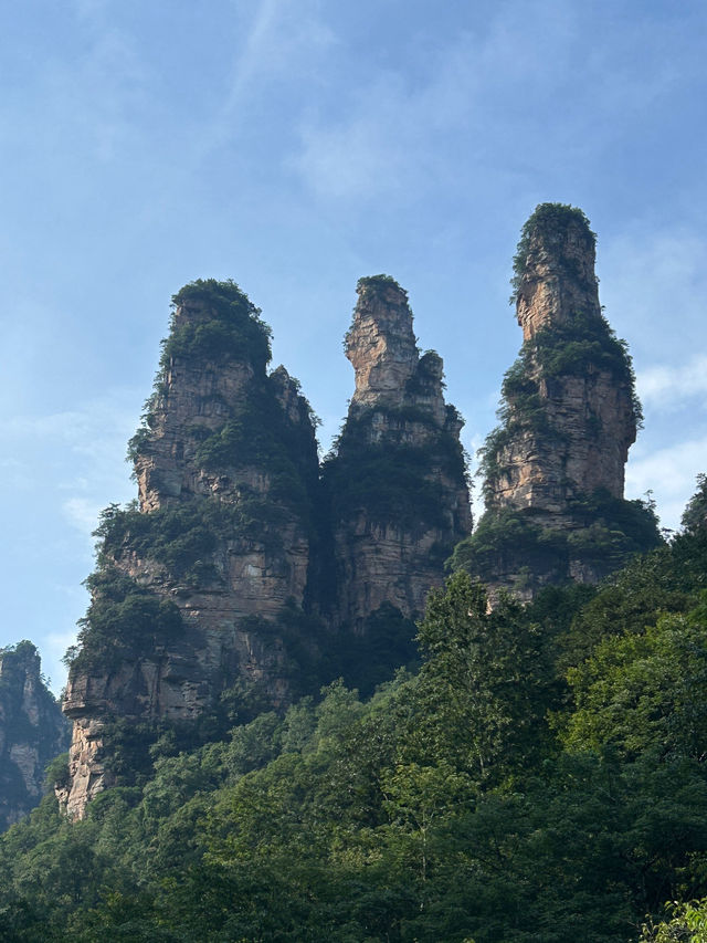 ✨ Trip Moment: Zhangjiajie ✨