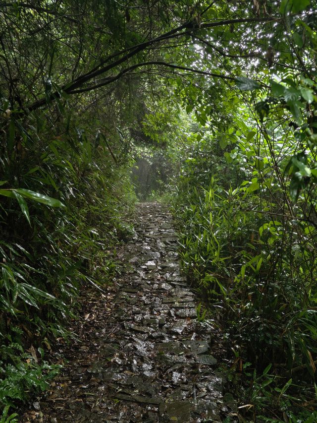 寧波秘境虹嶺古道·綠野仙蹤般的溯溪天堂