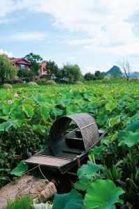 探秘普者黑：青龍山觀景指南