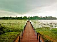 Neak Pean: The Healing Waters of Angkor