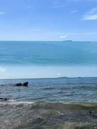 廣東趕海天花板？向海尋鮮！茂名灘塗尋鮮大挑戰！