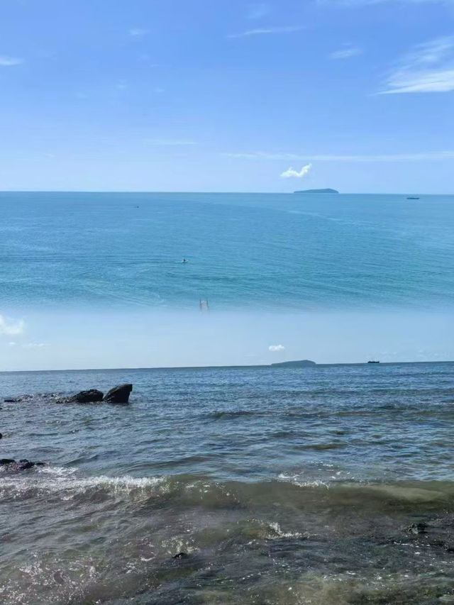 廣東趕海天花板？向海尋鮮！茂名灘塗尋鮮大挑戰！