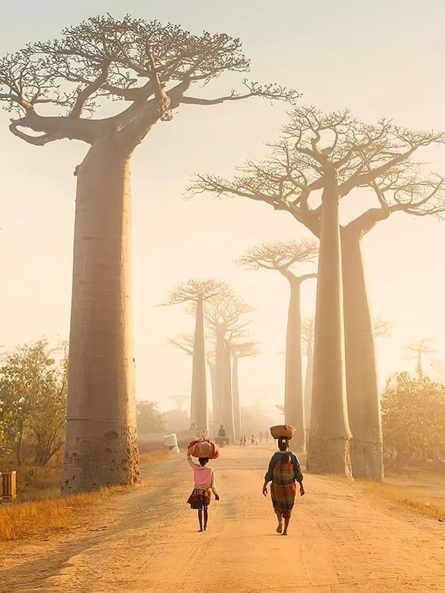 99%香港人未曾踏足,海島並非其最大亮點 99%香港人未曾踏足,海島並非其最大亮點