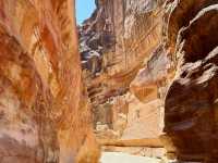 ✨ Petra Adventure ✨