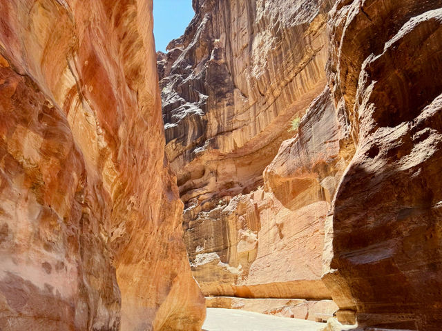 ✨ Petra Adventure ✨