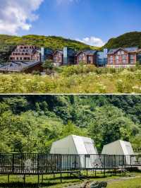 重慶金佛山 打卡18℃的夏天