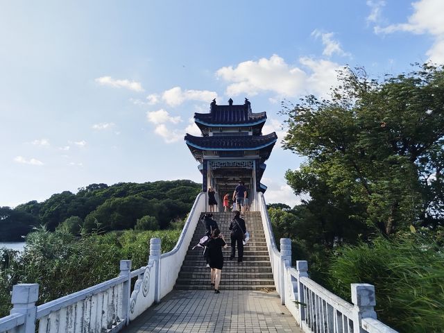 夏天的鼋頭渚，藏著太湖邊最清涼的詩意！