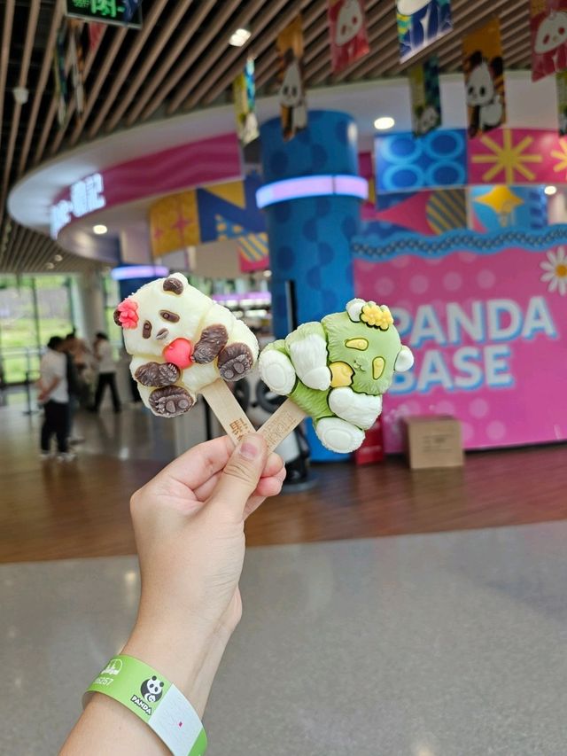 🐼 청두 자이언트 판다기지 이렇게 구경하세요 🐼