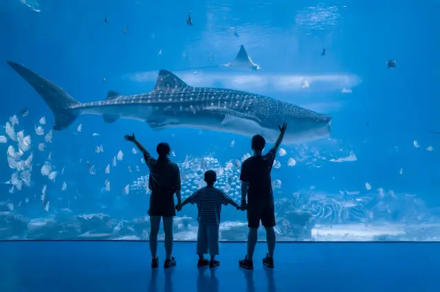 珠海長隆淡季打卡