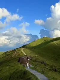 寧德柘榮鴛鴦草場。